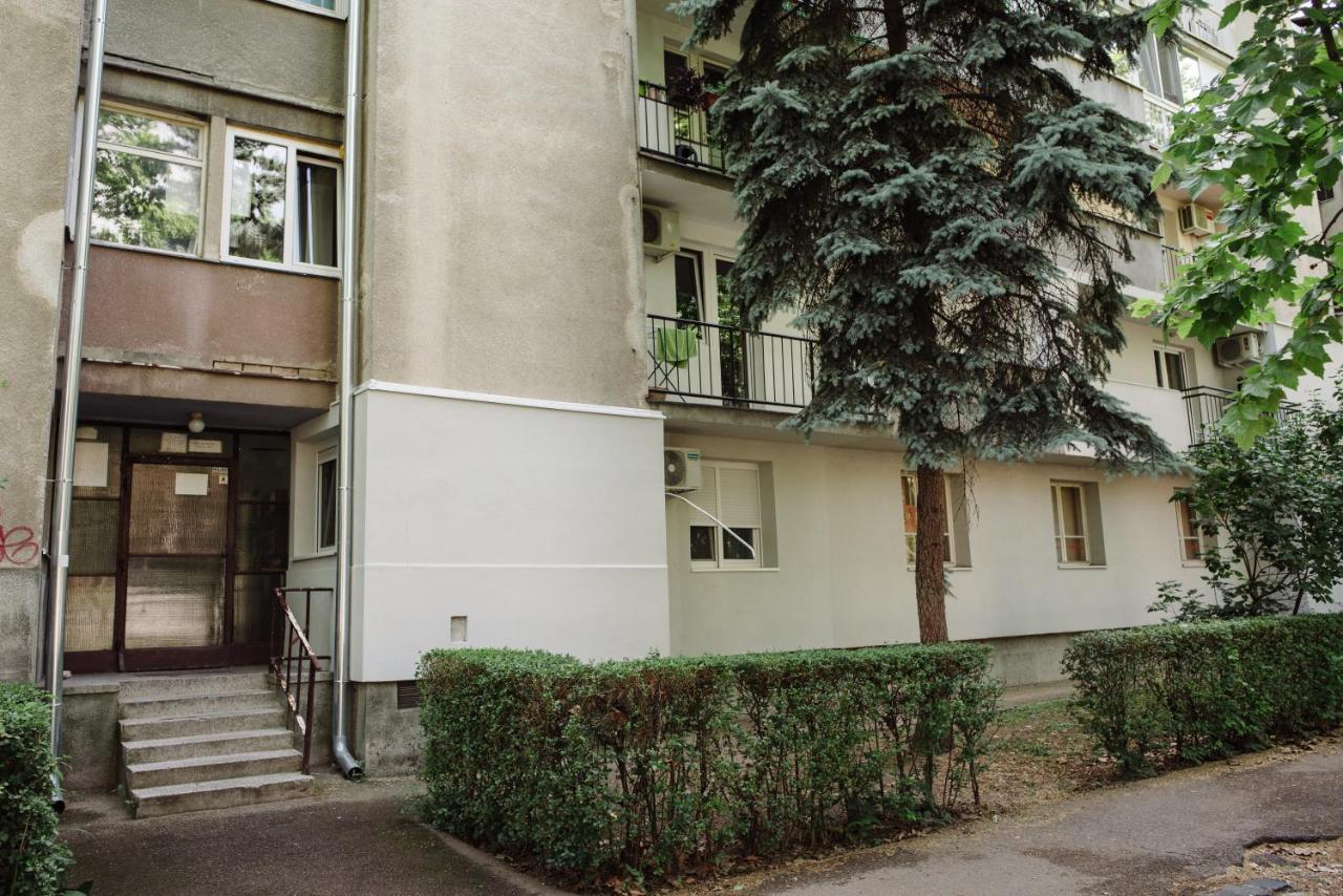 סובוטיקה Dill Apartment מראה חיצוני תמונה
